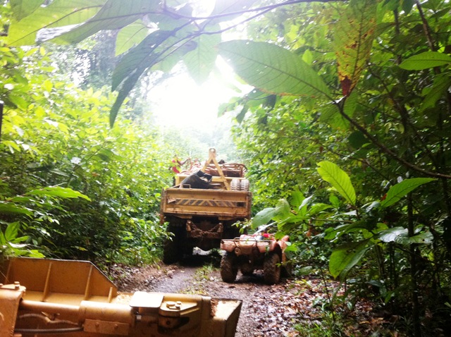 Description: D:\Gil Job Related Doc\Guyana\Guyana Photo Album\2012\Photos\06-07-12\web\11.jpg