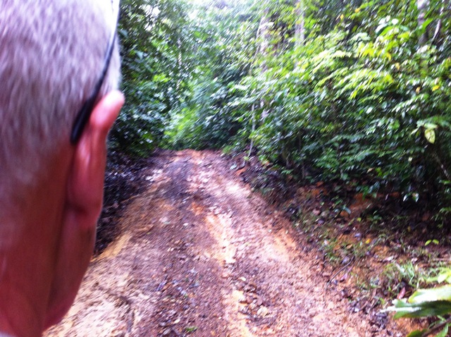 Description: D:\Gil Job Related Doc\Guyana\Guyana Photo Album\2012\Photos\06-07-12\web\14.jpg