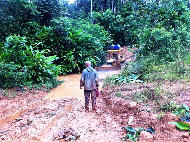 Description: D:\Gil Job Related Doc\Guyana\Guyana Photo Album\2012\Photos\06-08-12\web\6.jpg