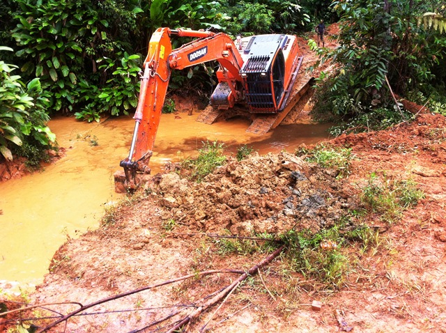 Description: D:\Gil Job Related Doc\Guyana\Guyana Photo Album\2012\Photos\06-08-12\web\12.jpg