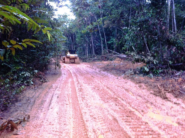 Description: D:\Gil Job Related Doc\Guyana\Guyana Photo Album\2012\Photos\06-08-12\web\19.jpg