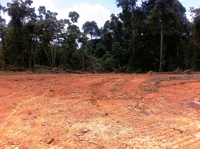 Description: D:\Gil Job Related Doc\Guyana\Guyana Photo Album\2012\03-14-12\Yakishuru Strip\18.jpg