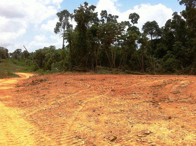 Description: D:\Gil Job Related Doc\Guyana\Guyana Photo Album\2012\03-14-12\Yakishuru Strip\19.jpg