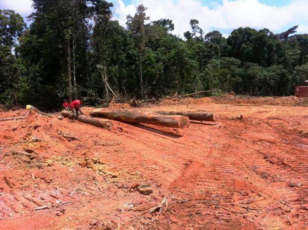 Description: D:\Gil Job Related Doc\Guyana\Guyana Photo Album\2012\03-15-12\web\13.jpg