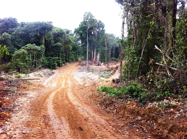 Description: D:\Gil Job Related Doc\Guyana\Guyana Photo Album\2012\03-18-12\web\1.jpg