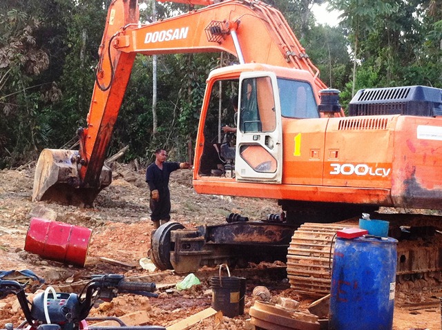 Description: D:\Gil Job Related Doc\Guyana\Guyana Photo Album\2012\03-18-12\web\5.jpg