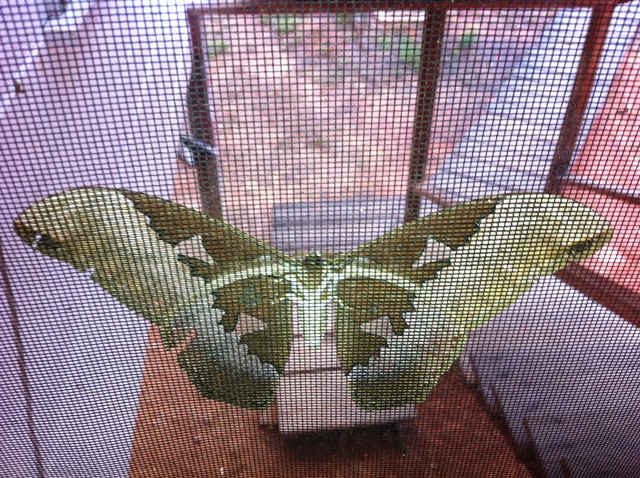 Description: D:\Gil Job Related Doc\Guyana\Guyana Photo Album\2012\03-19-12\web\1.jpg