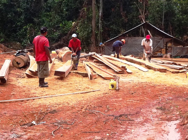 Description: D:\Gil Job Related Doc\Guyana\Guyana Photo Album\2012\03-19-12\web\9.jpg