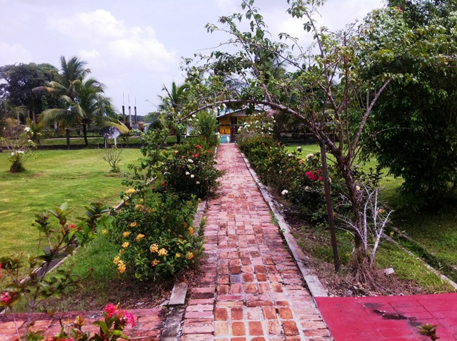 Description: D:\Gil Job Related Doc\Guyana\Guyana Photo Album\2012\03-01-12\web\19.jpg