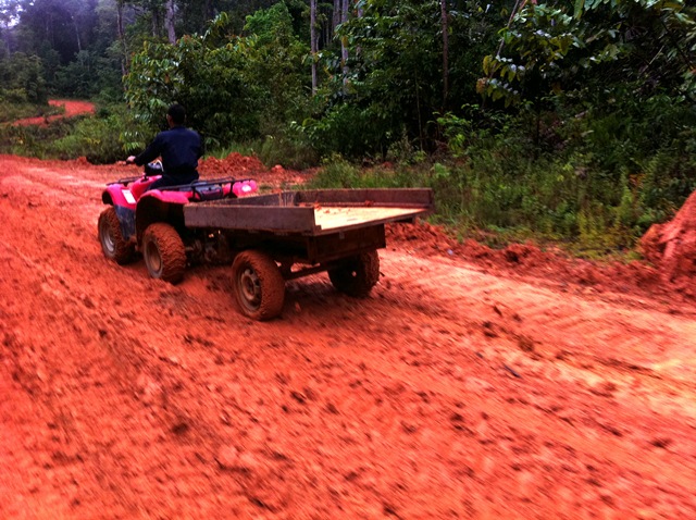 Description: D:\Gil Job Related Doc\Guyana\Guyana Photo Album\2012\03-20-12\web\1.jpg