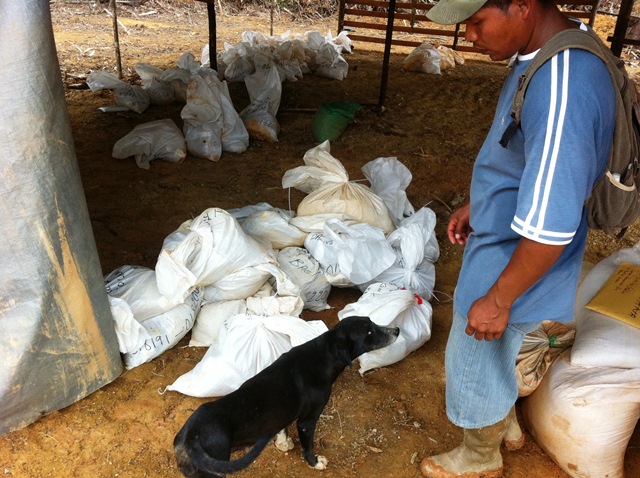 Description: D:\Gil Job Related Doc\Guyana\Guyana Photo Album\2012\03-20-12\web\22.jpg