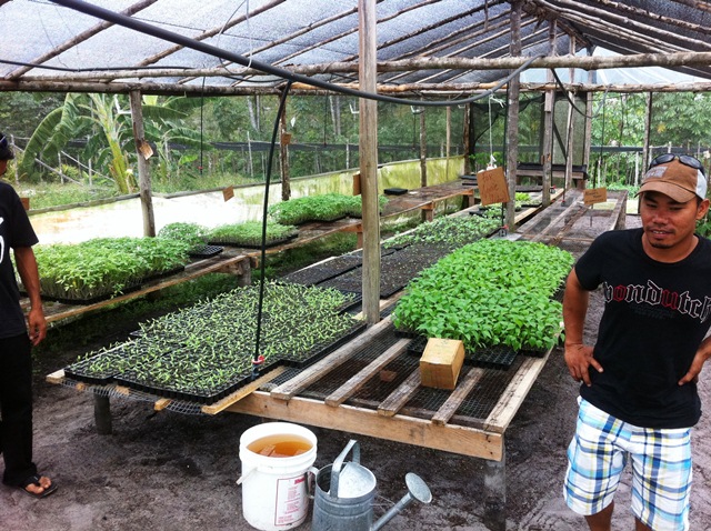 Description: D:\Gil Job Related Doc\Guyana\Guyana Photo Album\2012\Photos\03-25-12\Web\4.jpg