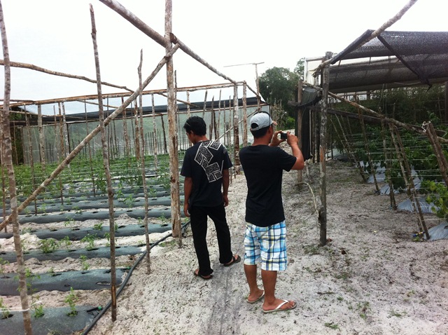 Description: D:\Gil Job Related Doc\Guyana\Guyana Photo Album\2012\Photos\03-25-12\Web\5.jpg