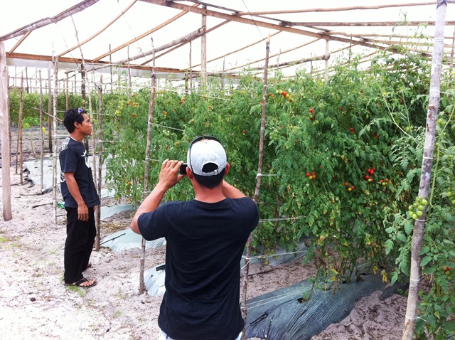 Description: D:\Gil Job Related Doc\Guyana\Guyana Photo Album\2012\Photos\03-25-12\Web\6.jpg