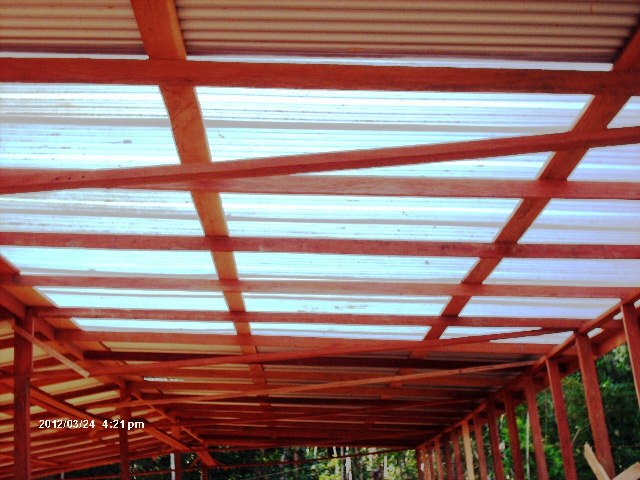 Description: D:\Gil Job Related Doc\Guyana\Guyana Photo Album\2012\Photos\03-26-12\web\8.jpg