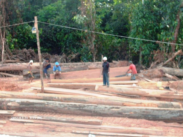 Description: D:\Gil Job Related Doc\Guyana\Guyana Photo Album\2012\Photos\03-26-12\web\11.jpg