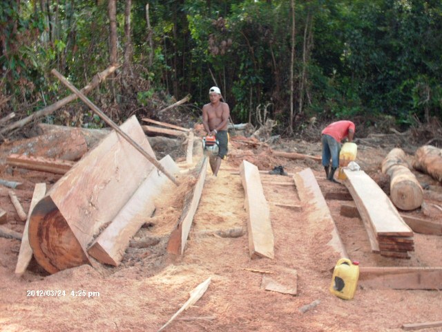 Description: D:\Gil Job Related Doc\Guyana\Guyana Photo Album\2012\Photos\03-26-12\web\12.jpg