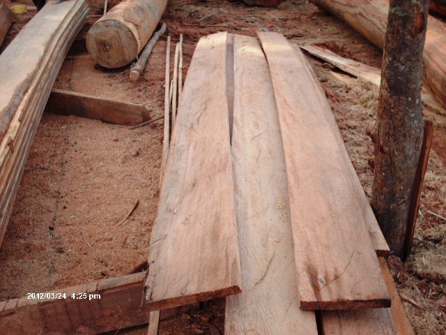 Description: D:\Gil Job Related Doc\Guyana\Guyana Photo Album\2012\Photos\03-26-12\web\13.jpg