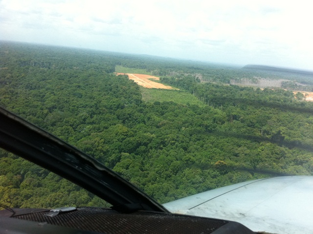 Description: D:\Gil Job Related Doc\Guyana\Guyana Photo Album\2012\Photos\04-29-12\web\15.jpg