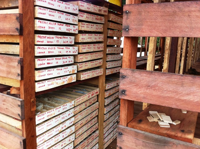 Description: D:\Gil Job Related Doc\Guyana\Guyana Photo Album\2012\Photos\04-29-12\web\36.jpg