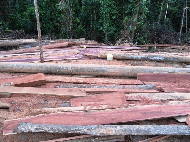 Description: D:\Gil Job Related Doc\Guyana\Guyana Photo Album\2012\Photos\03-31-12\web\11.jpg