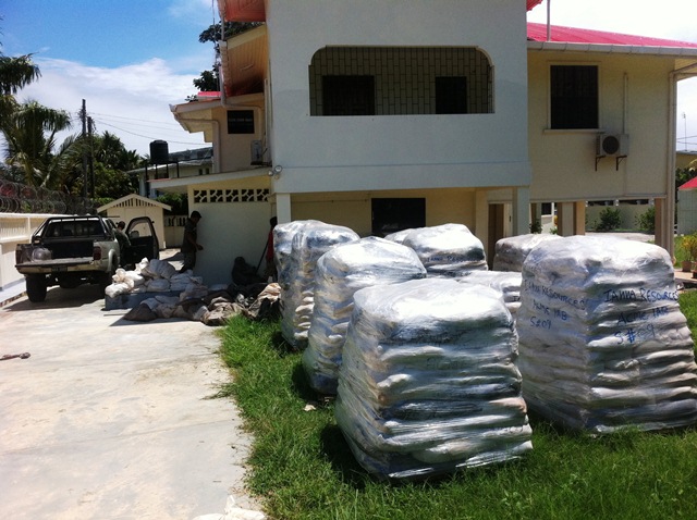 Description: D:\Gil Job Related Doc\Guyana\Guyana Photo Album\2012\Photos\05-15-12\web\7.jpg