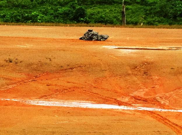 Description: D:\Gil Job Related Doc\Guyana\Guyana Photo Album\2012\Photos\05-20-12\web\1.jpg