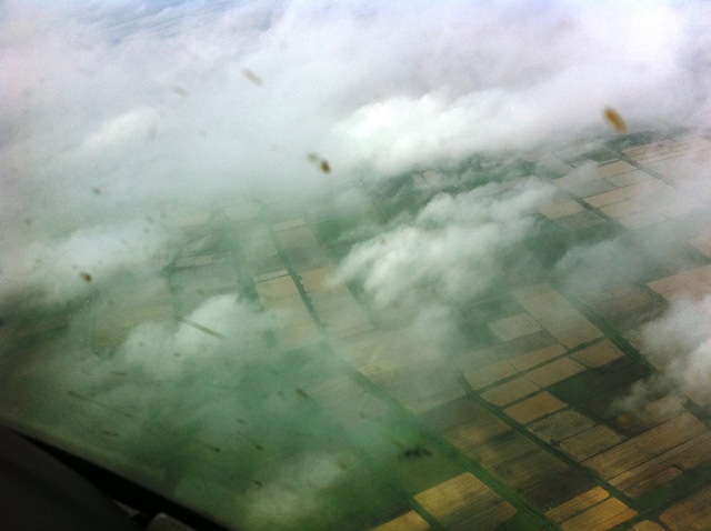 Description: D:\Gil Job Related Doc\Guyana\Guyana Photo Album\2012\Photos\05-20-12\web\13.jpg