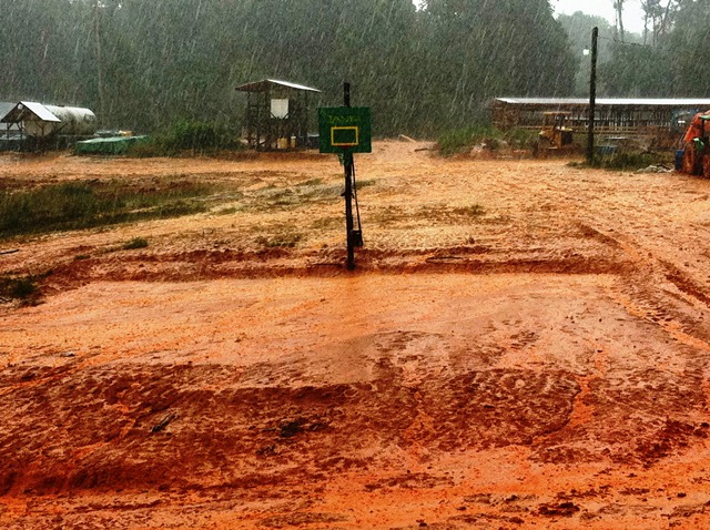 Description: D:\Gil Job Related Doc\Guyana\Guyana Photo Album\2012\Photos\05-03-12\Web\13.jpg