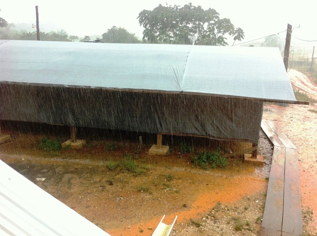 Description: D:\Gil Job Related Doc\Guyana\Guyana Photo Album\2012\Photos\05-03-12\Web\14.jpg