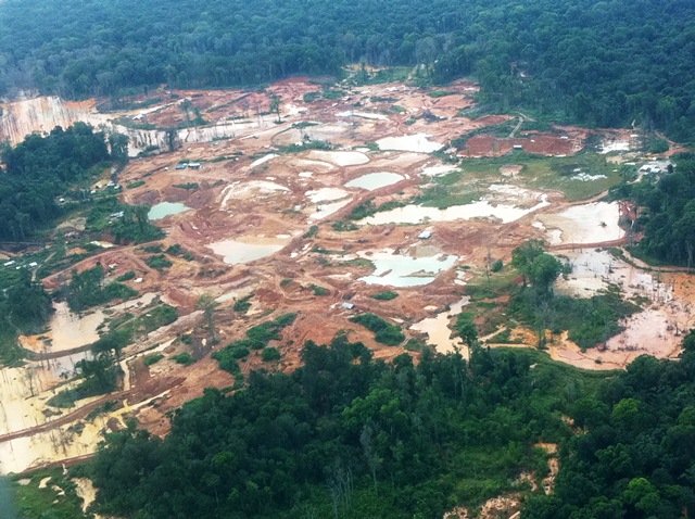 Description: D:\Gil Job Related Doc\Guyana\Guyana Photo Album\2011\11-23\Web\10.jpg