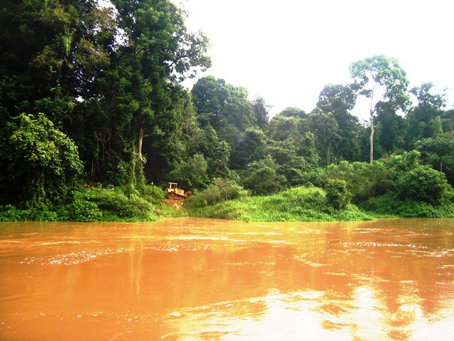 Description: D:\Gil Job Related Doc\Guyana\Guyana Photo Album\2011\11-28\Web\1.jpg