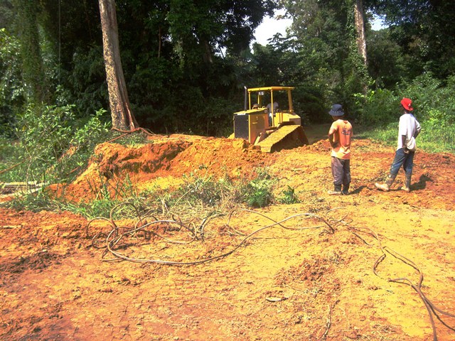 Description: D:\Gil Job Related Doc\Guyana\Guyana Photo Album\2011\11-28\Web\10.jpg