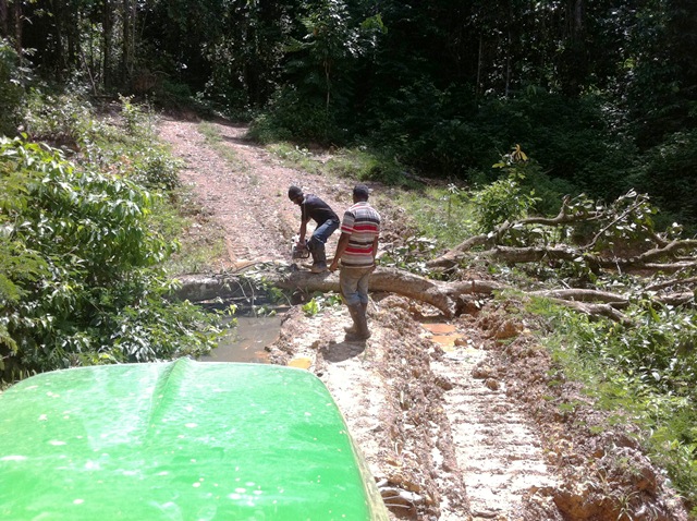 Description: D:\Gil Job Related Doc\Guyana\Guyana Photo Album\2011\11-02\Web\4.jpg