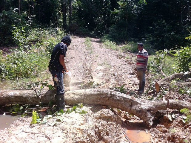 Description: D:\Gil Job Related Doc\Guyana\Guyana Photo Album\2011\11-02\Web\7.jpg