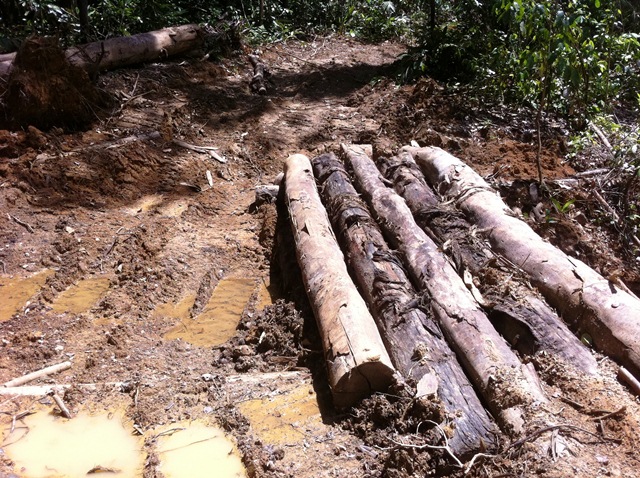 Description: D:\Gil Job Related Doc\Guyana\Guyana Photo Album\2011\11-02\Web\8.jpg