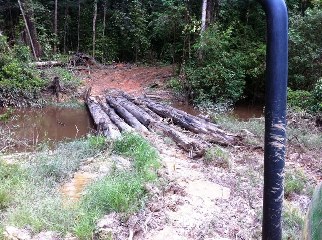 Description: D:\Gil Job Related Doc\Guyana\Guyana Photo Album\2011\11-02\Web\10.jpg