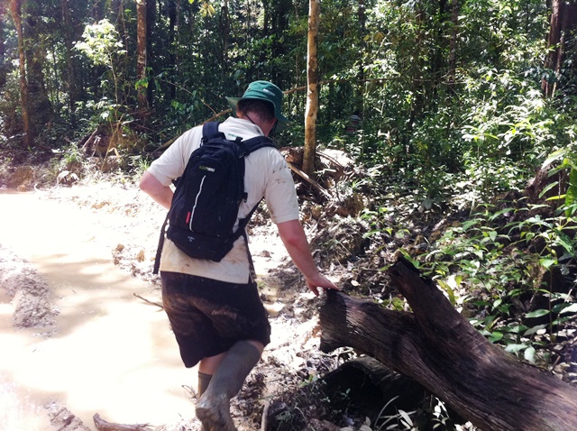 Description: D:\Gil Job Related Doc\Guyana\Guyana Photo Album\2011\11-02\Web\11.jpg