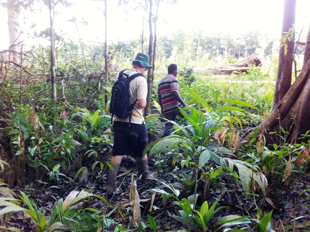 Description: D:\Gil Job Related Doc\Guyana\Guyana Photo Album\2011\11-02\Web\12.jpg