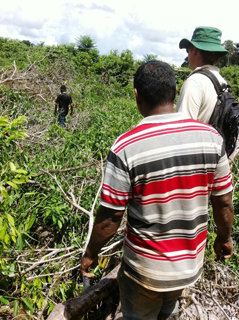 Description: D:\Gil Job Related Doc\Guyana\Guyana Photo Album\2011\11-02\Web\14.jpg