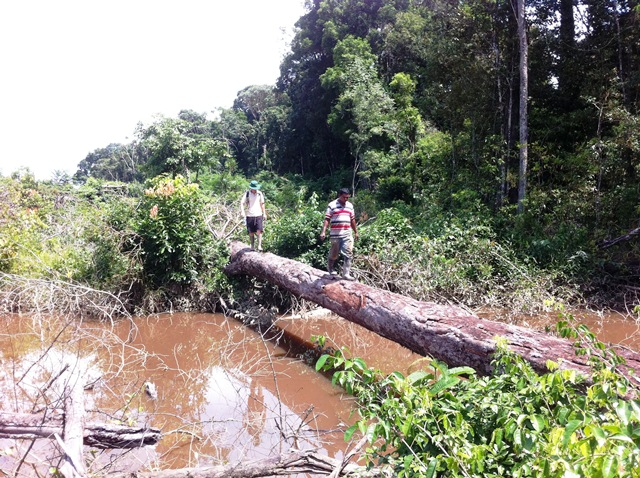 Description: D:\Gil Job Related Doc\Guyana\Guyana Photo Album\2011\11-02\Web\15.jpg