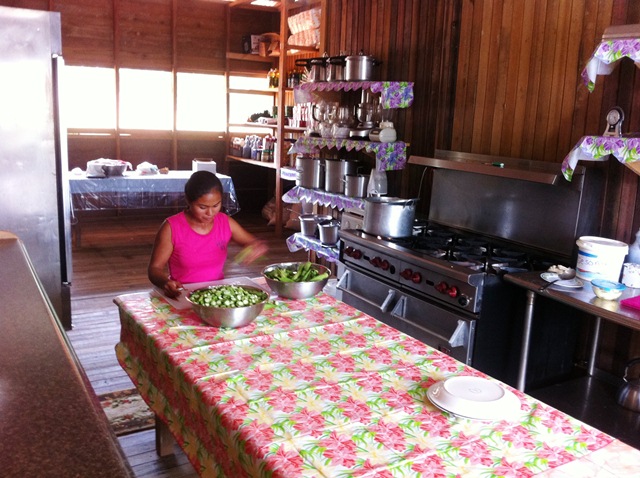 Description: D:\Gil Job Related Doc\Guyana\Guyana Photo Album\2011\11-03\Web\2.jpg