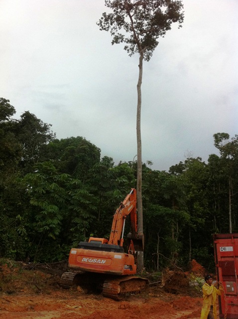 Description: D:\Gil Job Related Doc\Guyana\Guyana Photo Album\2011\11-04\Web\13.jpg