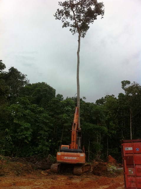 Description: D:\Gil Job Related Doc\Guyana\Guyana Photo Album\2011\11-04\Web\14.jpg