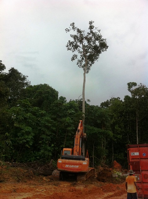 Description: D:\Gil Job Related Doc\Guyana\Guyana Photo Album\2011\11-04\Web\15.jpg