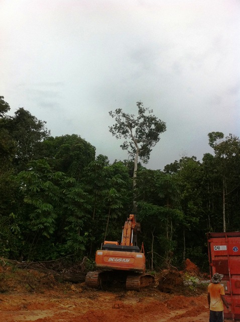 Description: D:\Gil Job Related Doc\Guyana\Guyana Photo Album\2011\11-04\Web\16.jpg