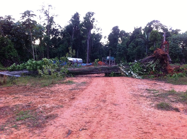 Description: D:\Gil Job Related Doc\Guyana\Guyana Photo Album\2011\11-04\Web\26.jpg