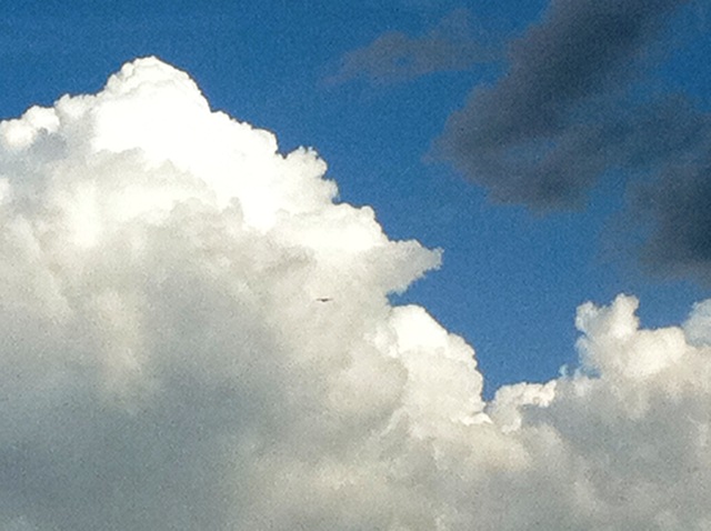 Description: D:\Gil Job Related Doc\Guyana\Guyana Photo Album\2011\11-05\Web\8.jpg